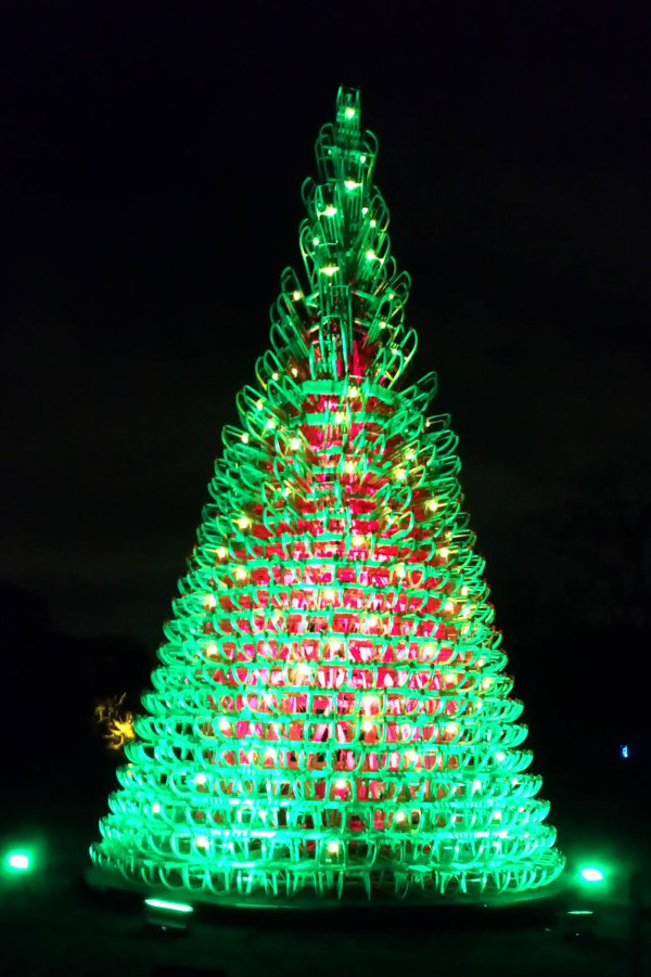This is one of the many trees lit for Xmas This is one of the many trees lit for Xmas